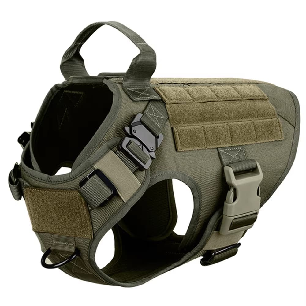 K9 Basecamp Set 8