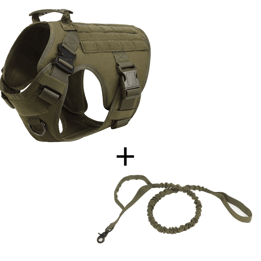 K9 Recon Set 2