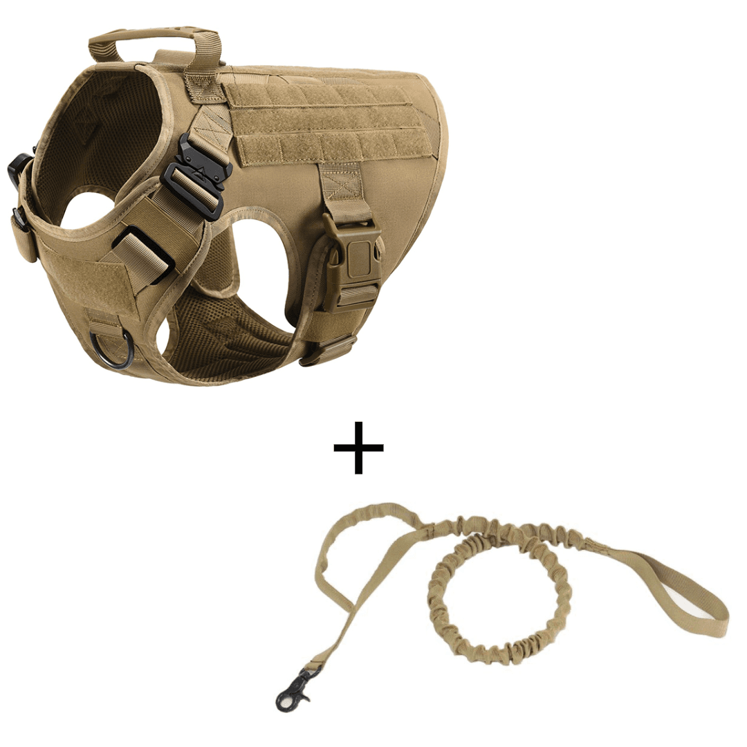 K9 Recon Set 8