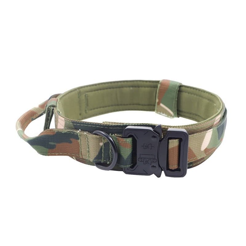 K9 Scout Collar 3