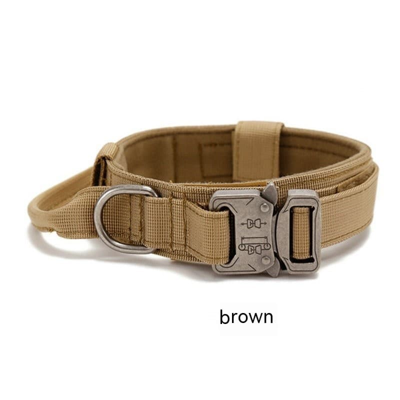 K9 Scout Collar 5