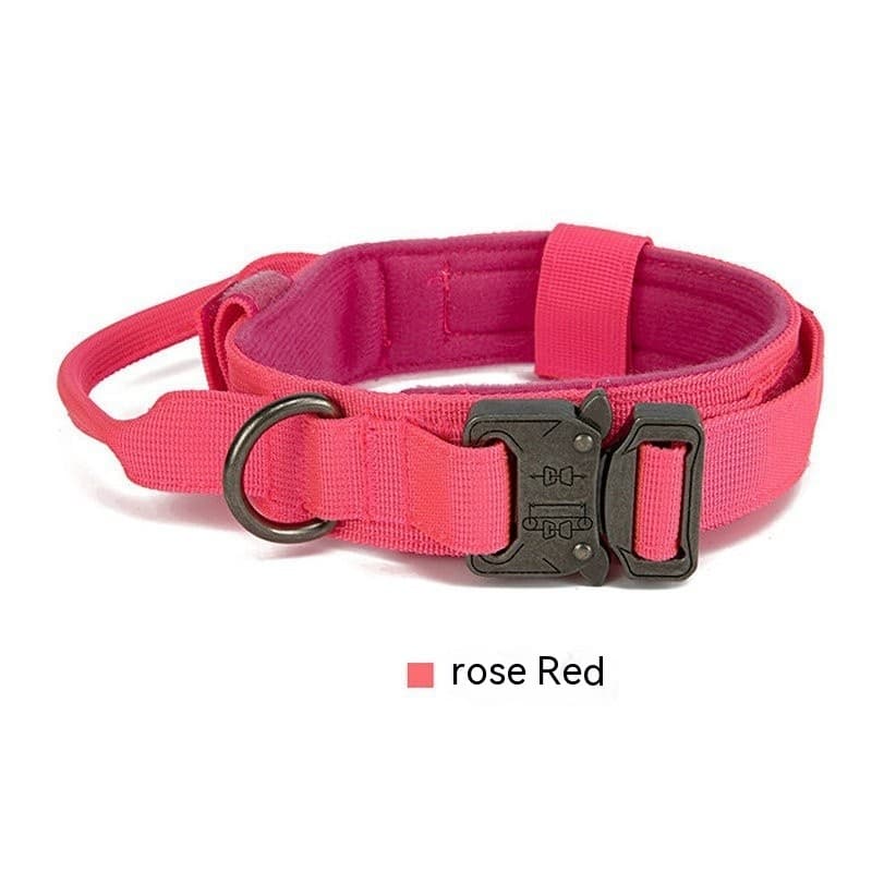 K9 Scout Collar 2