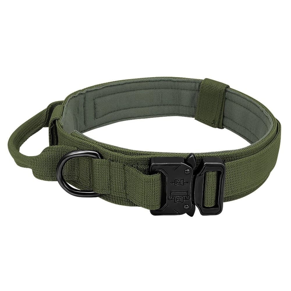 K9 Scout Collar 13